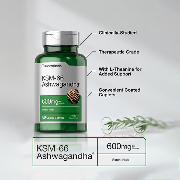 KSM-66 Ashwagandha 300mg 60 cápsulas